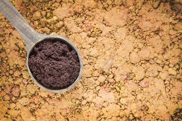 Acai powder on wooden spoon (Euterpe oleracea)
