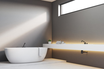 Fototapeta na wymiar Luxury bathroom with gray walls, corner
