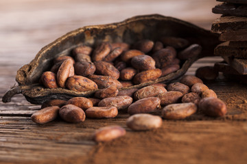 Cocoa pod and cocoa beans on the wooden table