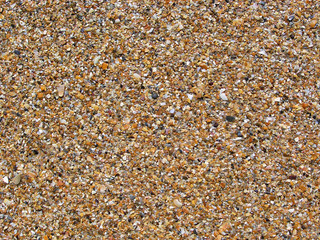 Rough fraction brown shell rock particles texture and background. Sand formation on sea beach