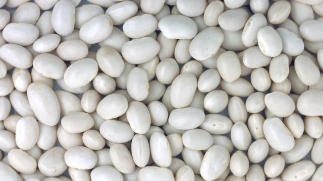 Beans background rotation. Haricot bean closeup rotate