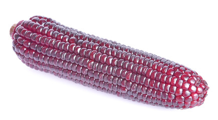 Purple corn on a white background