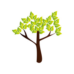 Obraz premium tree plant nature icon vector illustration design