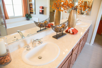 Beautifully Decorated New Modern Home Bathroom Sink, Faucet and Counter.