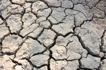 arid land.