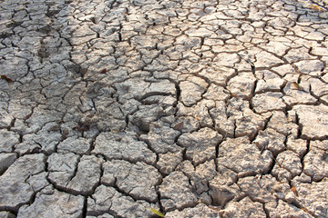 arid land.