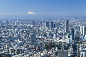 東京都市風景　富士山と渋谷中心街　都心の街並全景