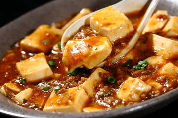 麻婆豆腐　Mapo tofu