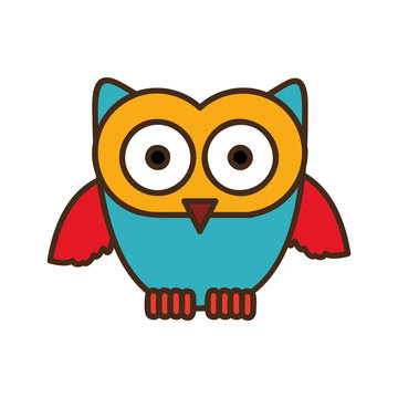 color stylized owl icon, vector illustraction design image