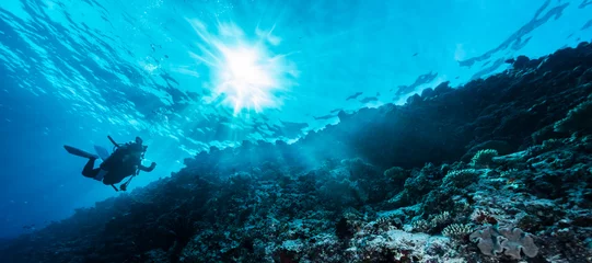 Fotobehang Rays of sunlight shining into sea, underwater view © divedog