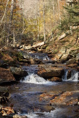 Ricketts Glen