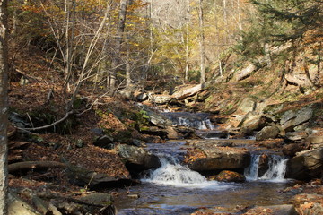 Ricketts Glen