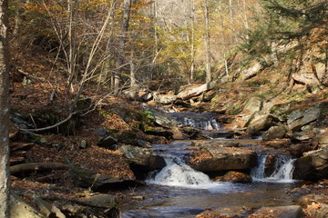Ricketts Glen
