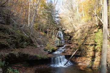 Ricketts Glen