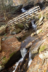 Ricketts Glen