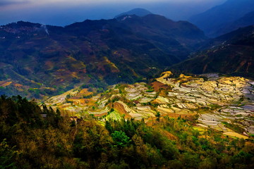 Obraz premium Terraced rice fields in Laohuzui Yuanyang County