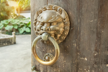 bronze doorknocker with Lion