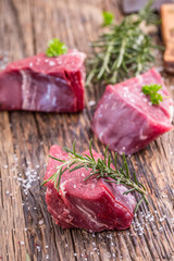Raw beef meat. Raw beef tenderloin steak on a cutting board with rosemary pepper salt in other positions.