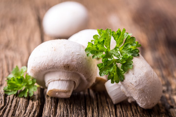 Mushroom. Champions mushrooms in different positions with herb decoration.