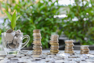 Growing coins stacks and coins in the glass with growing plant for saving money concept