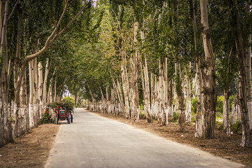 Obraz premium Rural road in China