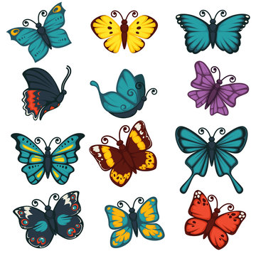 Butterflies species types decoration design element vector icons set