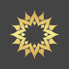 Abstract element for design, gold star, decoration.