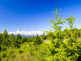 Höga Kusten, landscape, Sweden, Norrland, Angermanland