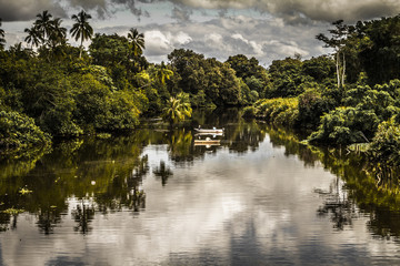 Fishing boats on a jungle river