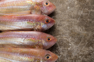 Raw Sea bream fish on metal background, top view