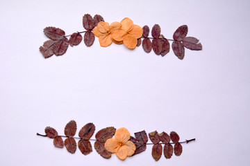 beautiful frame with dried flowers and leaves, vintage 