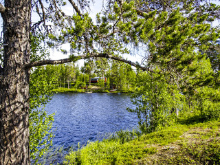 Fototapete bei efototapeten.de bestellen   