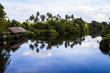 Jungle river in Borneo