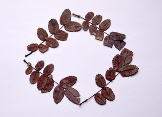 beautiful frame of dry twigs with leaves