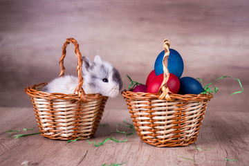 Bunny in a basket, on a wooden retro looking background. Happy Easter