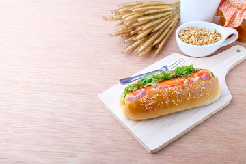 Hot dog on wood background