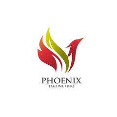 best luxury phoenix consulting element logo  vector concept
