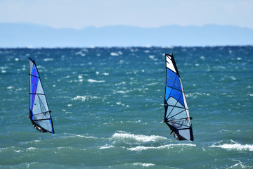 ウィンドサーフィン