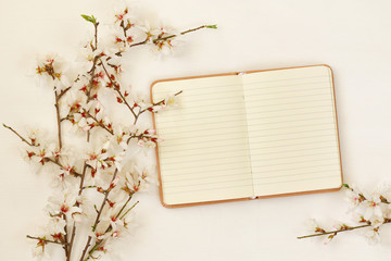 spring white cherry blossoms tree and open notebook