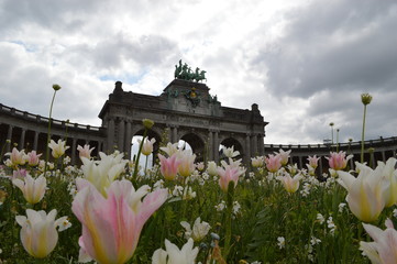 Flower and the Brandenburg gate in Brussels © sambucacon