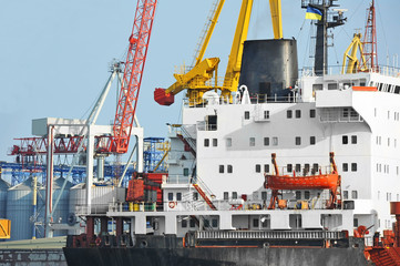 Bulk cargo ship under port crane