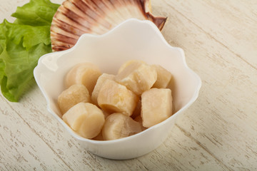 Raw scallops heap