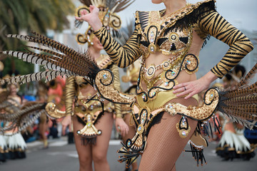 Woman in carnival costume
