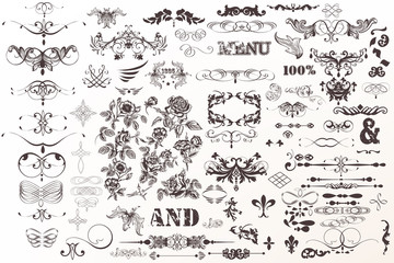 Big decorative collection of vector frames, borders, flourishes and flowers for vintage design