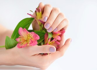 Obraz na płótnie Canvas Hands of a woman with dark red manicure on nails and flowers alstroemeria on a white background