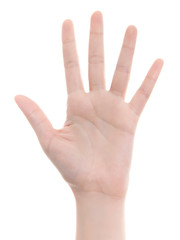 Stretched hand of woman isolated over white background. Open palm hand gesture of woman hand. Close up of open palm isolated over white background.