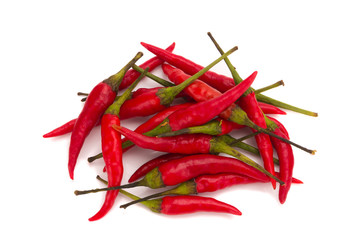 chili pepper isolated on a white background