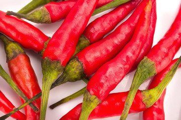 chili pepper isolated on a white background