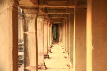 Fototapeta na wymiar Angkor Wat in the Morning, Cambodia