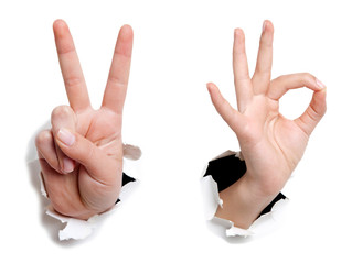Female hand showing thumb up ok all right victory hand sign gesture. Gestures and signs. Body language on white background